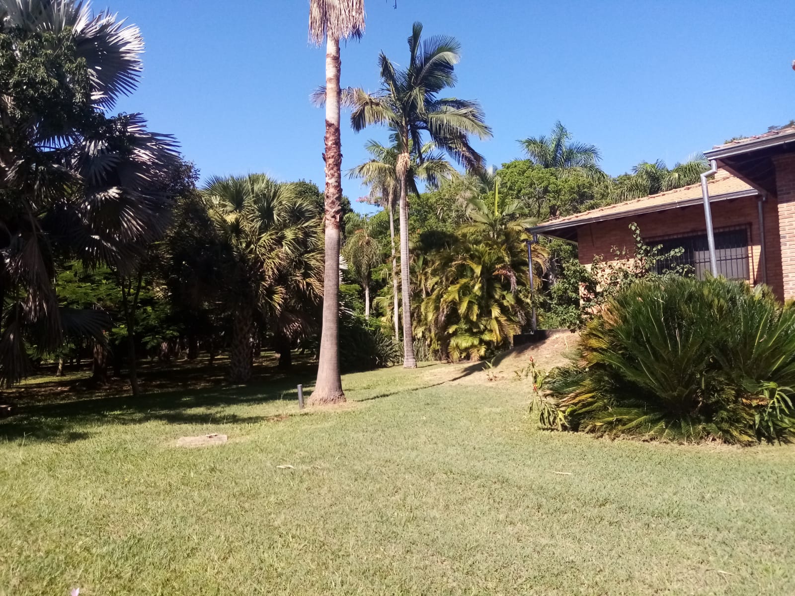 Impresionante casa quinta en Nueva Colombia 13ha — foto 2