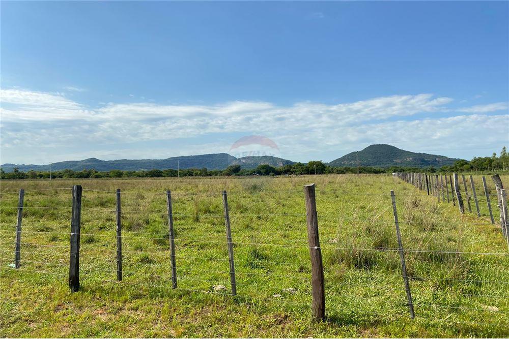 Vendo Privilegiada propiedad de 9 HA en la Colmena — foto 2