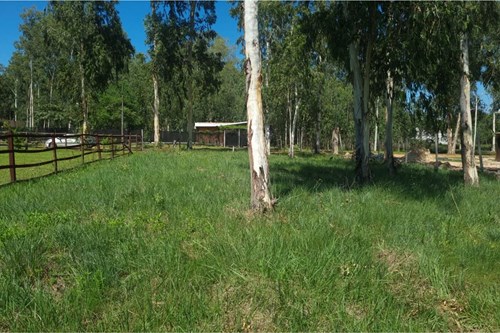 Terreno-Venta-Urbanización Florentina, San Bernardino, Cordillera — foto 3