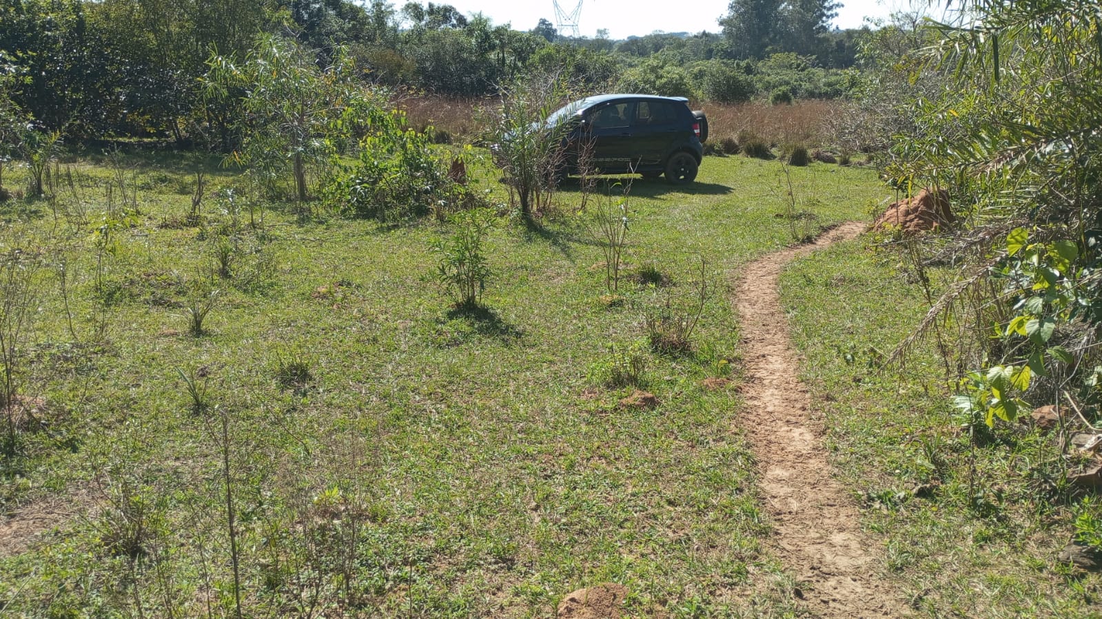 VENDO PROPIEDAD RURAL EN ITACURUBI DE LA CORDILLERA — foto 2