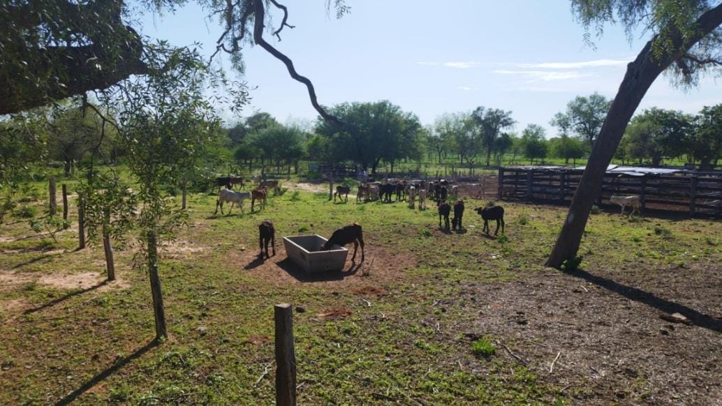 Vendo Estancia de 2.500 Hectáreas en Mcal. Estigarribia, Boquerón - CLCS7426071 — foto 2