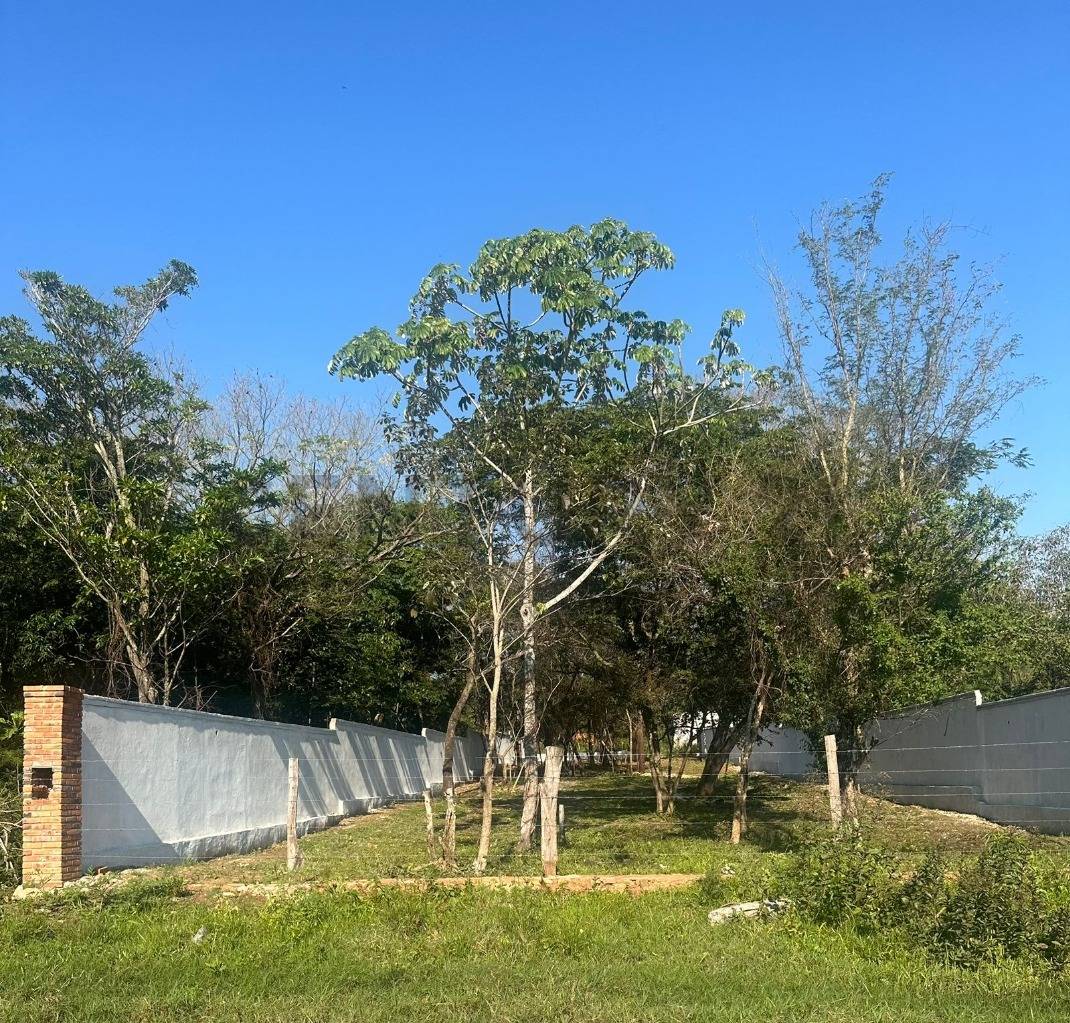 VENDO AMPLIO TERRENO EN SAN BERNARDINO — foto 3