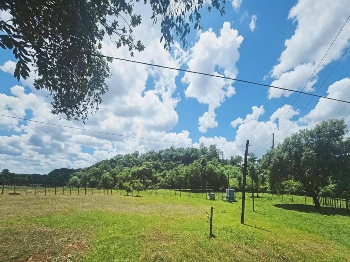 VENDO ESTANCIA EN CAAPUCÚ DE 612 HECTÁREAS — foto 2