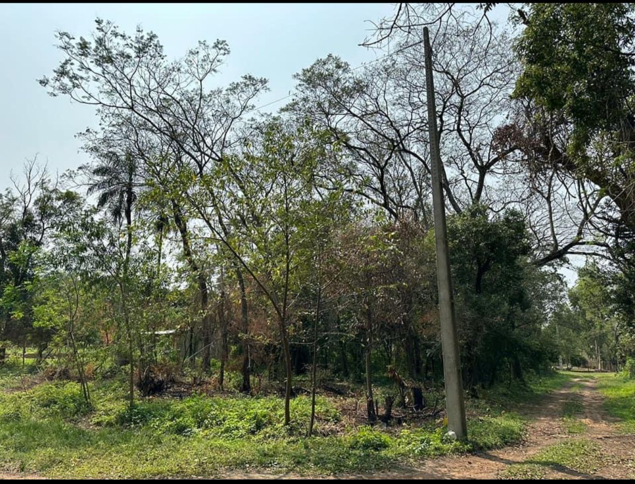 Vendo Hermosos Terrenos  En San Ber Zona Ciervo Kua — foto 2