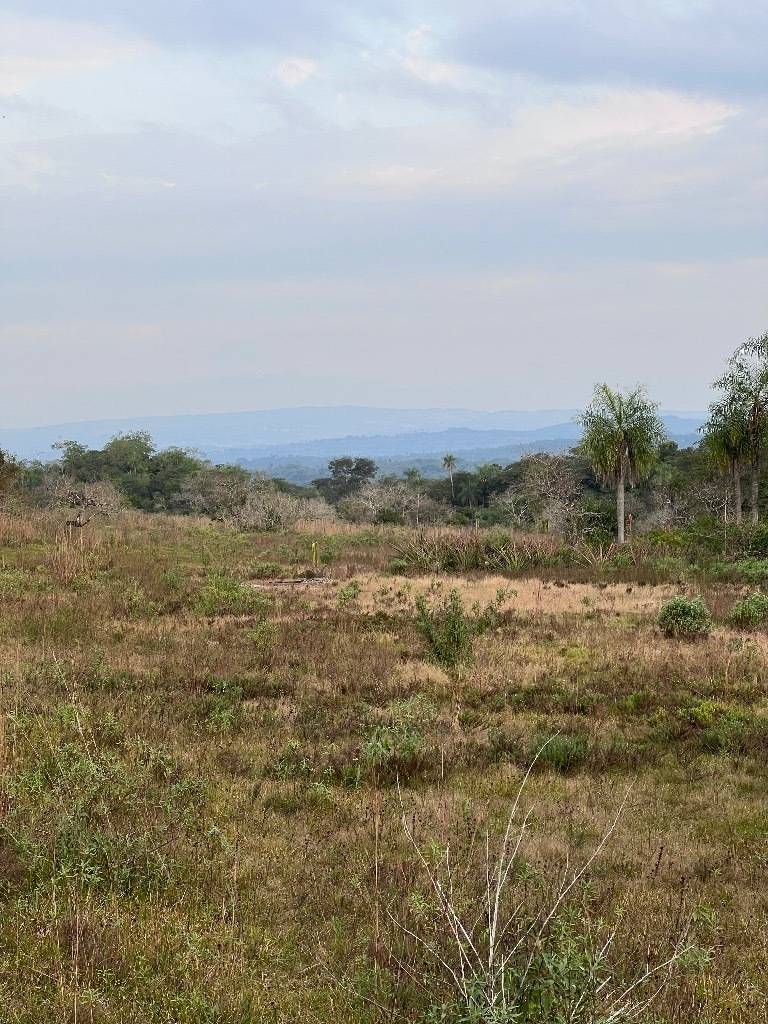 9,5 Hectáreas en Piribebuy – Zona Ojopoi — foto 2