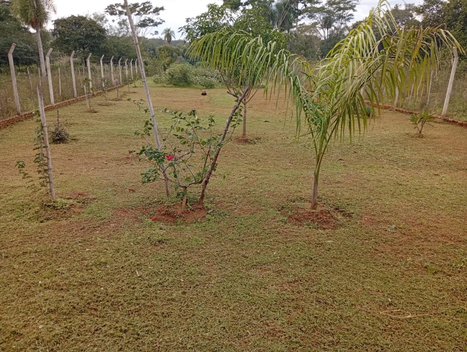 Vendo Imponente Terreno De 2.775 M2 en Yaguarón Km.53 a 200 m de La Ruta Py01 — foto 3