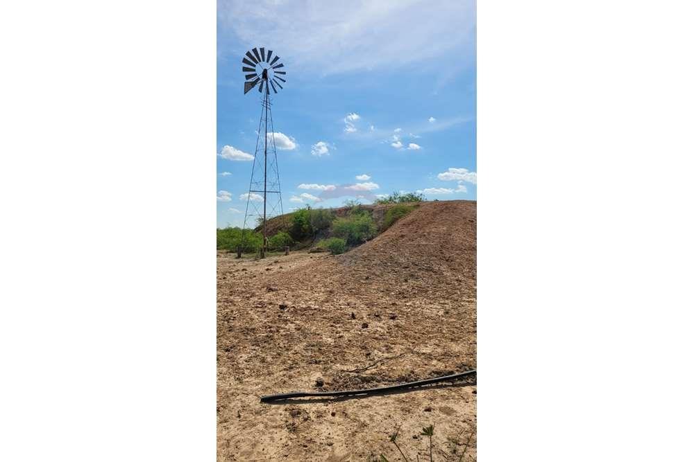 VENDO CAMPO EN PUERTO PINASCO 970 HECTAREAS — foto 2