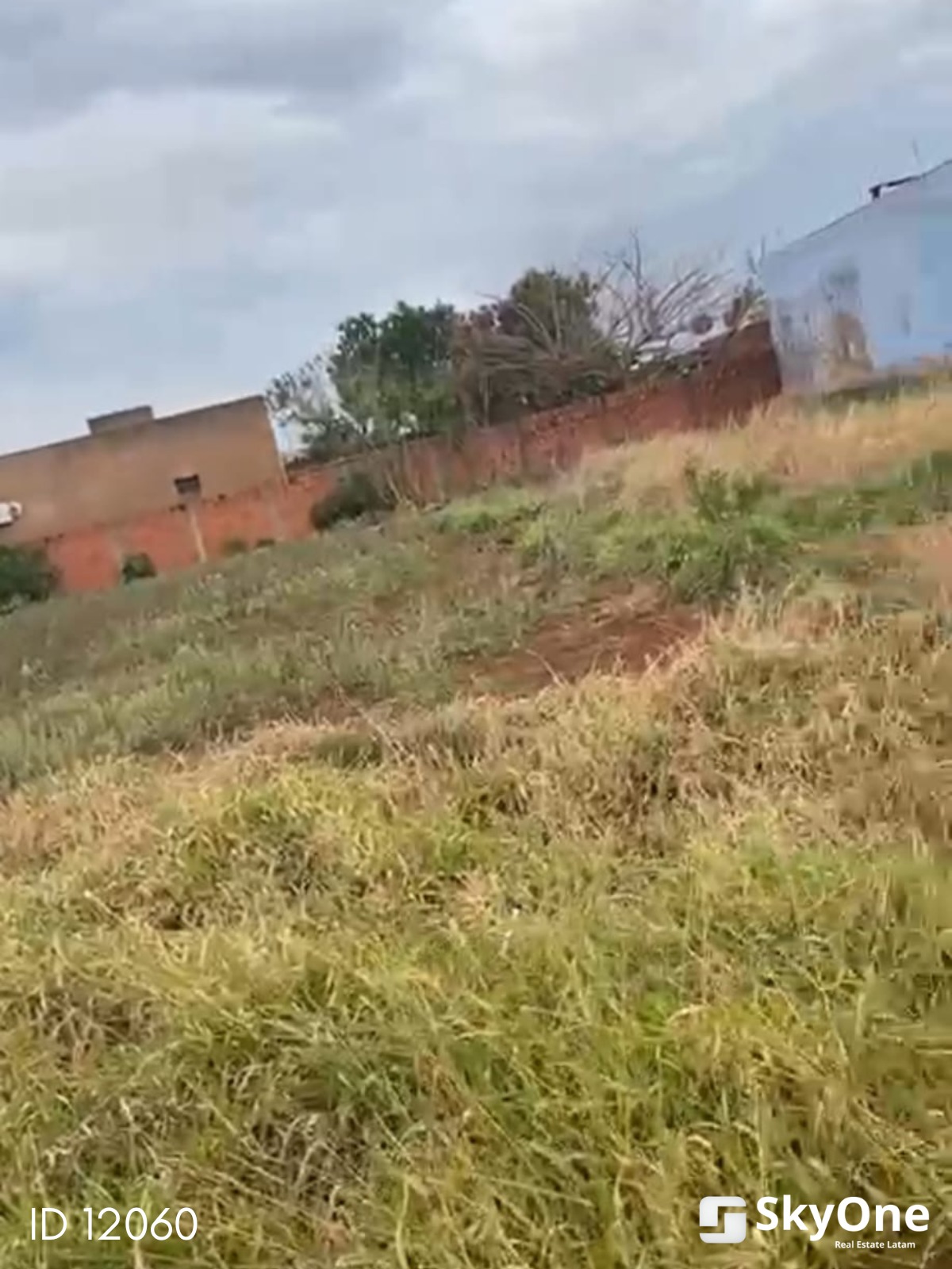 VENDO TERRENO EN PEDRO JUAN CABALLERO‼️ — foto 3