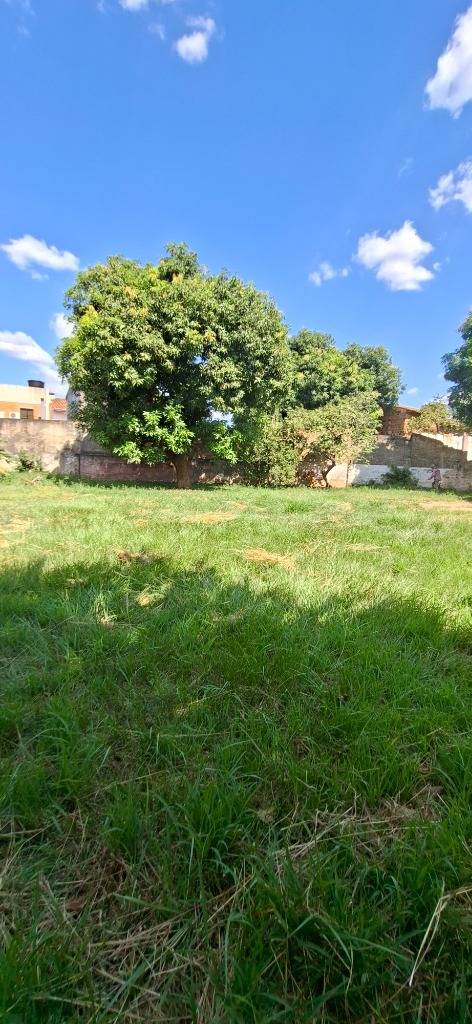 VENDO 2 TERRENOS EN BARRIO HERRERA CON AMPLIO FRENTE — foto 2
