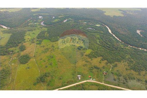 Terreno-Venta-PY Presidente Hayes Villa Hayes  RUTA 12  CHACOI — foto 3