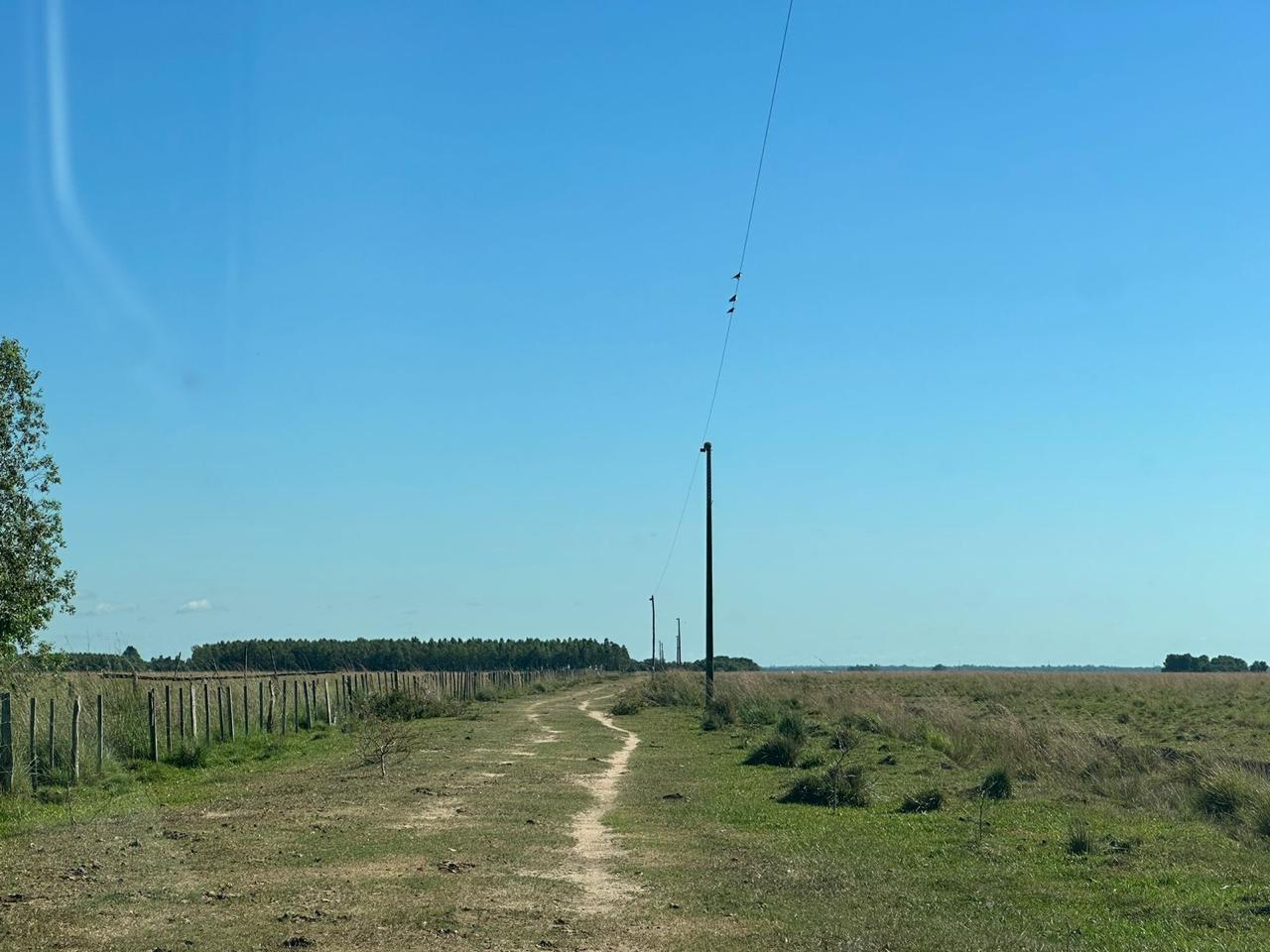 Vendo Campo de 1.263 Hectáreas en Santa Rosa, Misiones - CLCS7375524 — foto 2