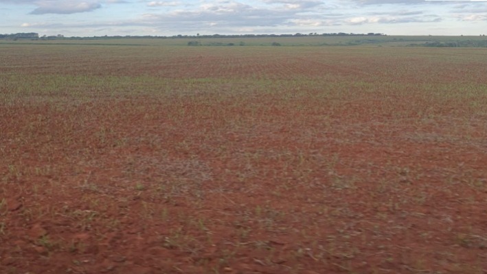 Vendo Campo de 600 has en Itakyry, Alto Paraná-CLCS5175302 — foto 2