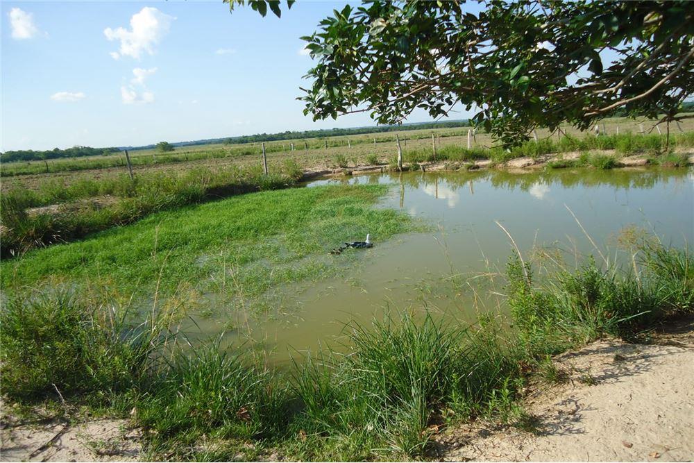 VENDO ESTANCIA FORMADA DE 77 HA EN SAN PEDRO! — foto 3