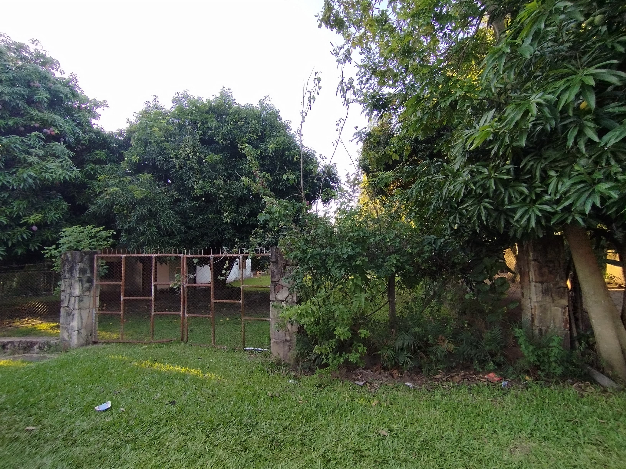 EN VENTA AMPLIO TERRENO EN SAN BERNARDINO — foto 3