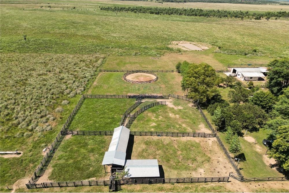 VENDO ESTANCIA GANADERA EN ISLA PUCU CORDILLERA — foto 2