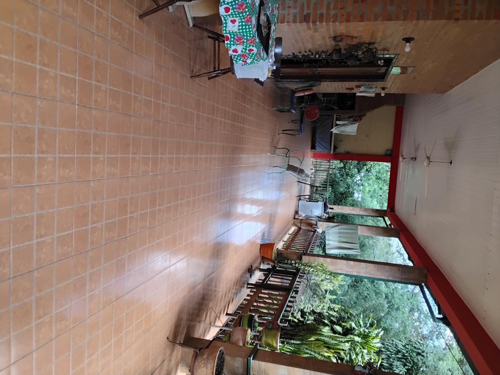 VENDO HERMOSA QUINTA EN NUEVA COLOMBIA A 10 MINUTOS DE SANBER — foto 3