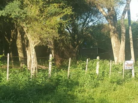 3 Hermosos Lotes En San Bernardino