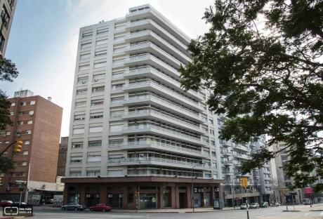 Excelentisimo Nivel. 350 M2 De Planta.