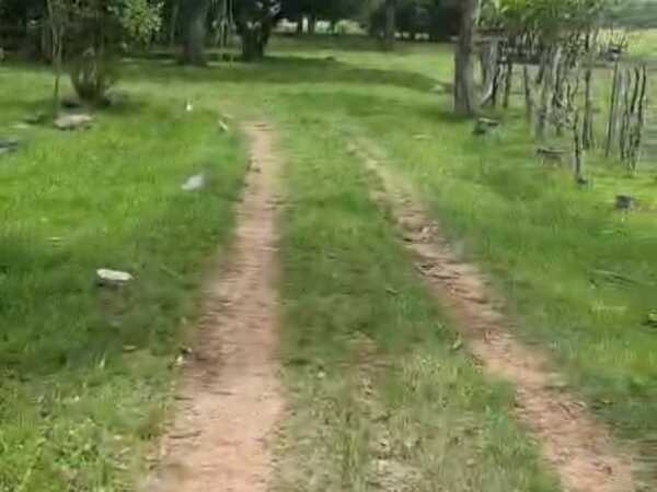 VENDO 14 HAS EN YBYTIMÍ PARAGUARÍ — foto 3