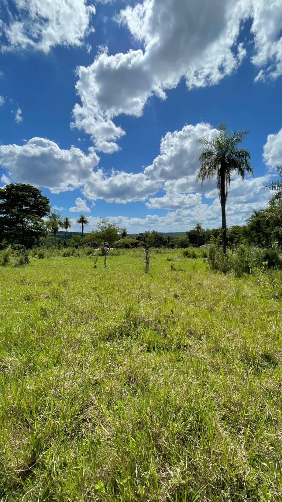 Vendo Hermosa Propiedad De 1,8 Has. En Altos — foto 2