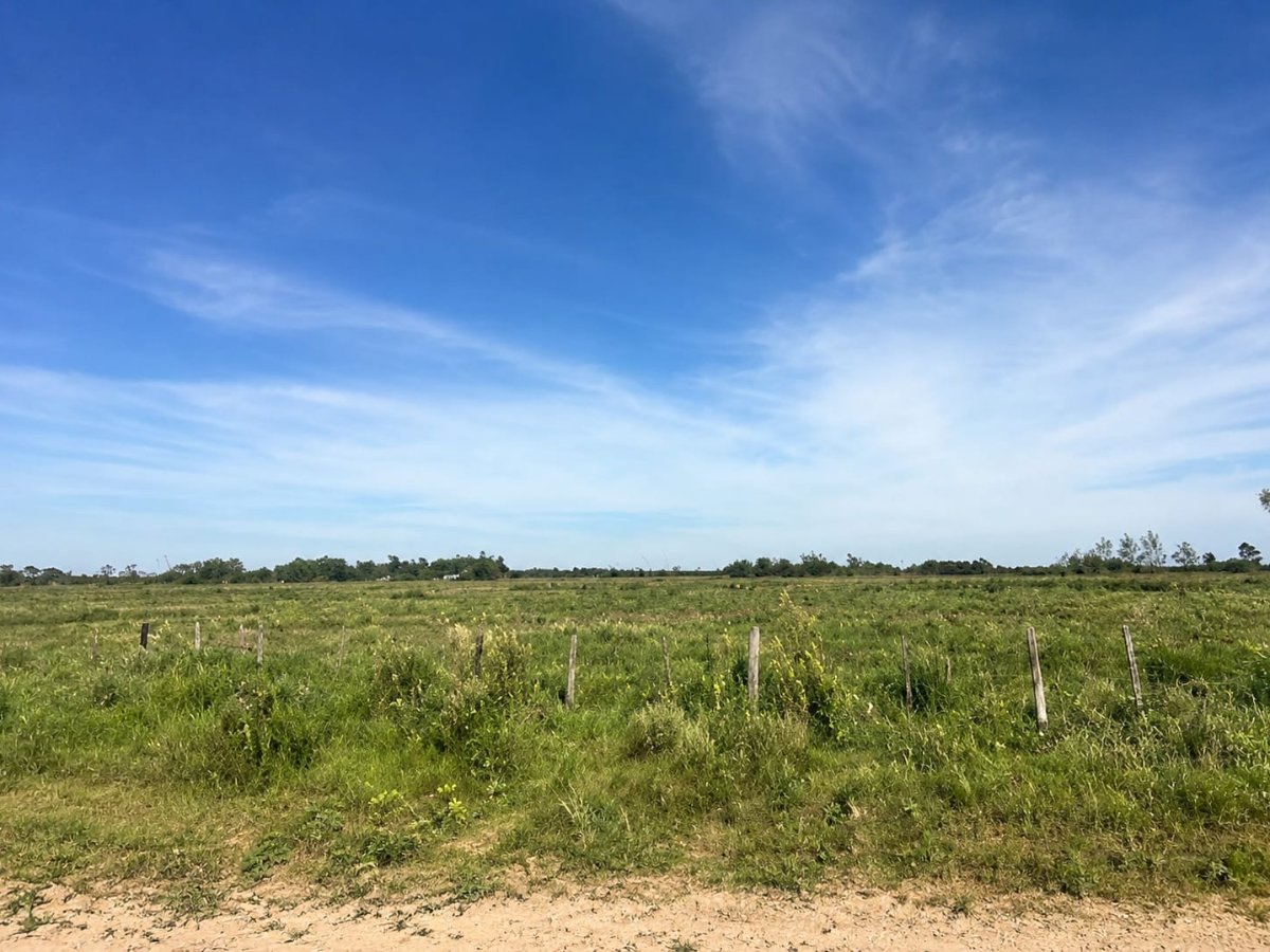 VENDO CAMPO EN LA CIUDAD DE ABAI - 19 HECTAREAS — foto 3