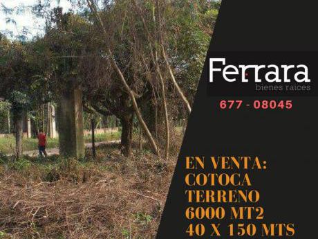 Terreno En Venta.