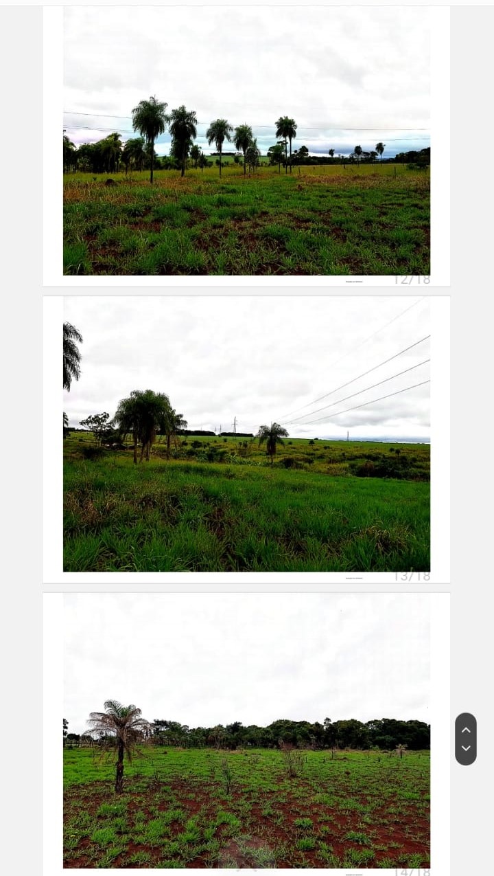 Vendo 7 hectáreas en Pedro Juan Caballero — foto 3