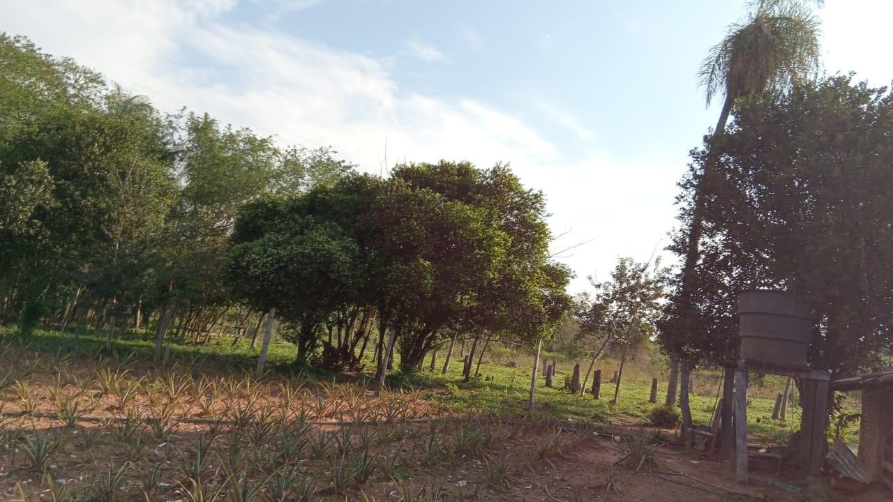 *VENDO HERMOSA PROPIEDAD DE 16 HECTÁREAS EN BARRERO GRANDE -EUSEBIO AYALA* — foto 2
