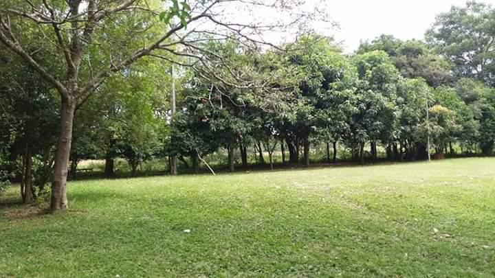 Campo en venta en San Miguel — foto 3