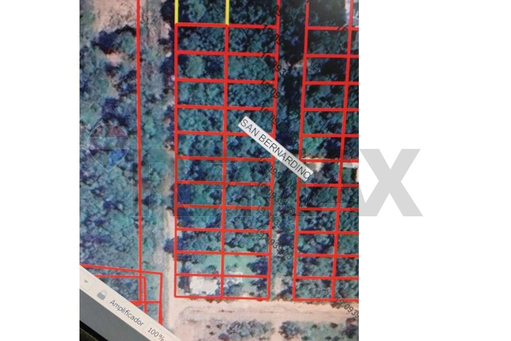 TERRENO EN VENTA- San Bernardino — foto 3
