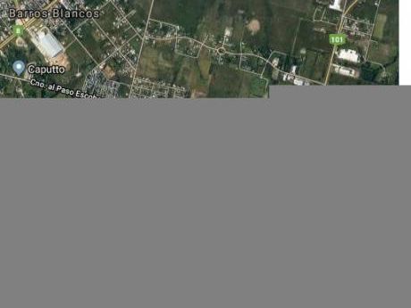 Oportunidad Para Industria, 5 Há En Ruta 101
