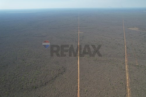 Campo - Venta - Bahia Negra, Alto Paraguay, Paraguay — foto 3