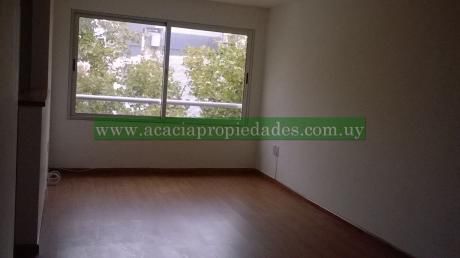 Apartamento En Alquiler. Ed. Pilcomayo