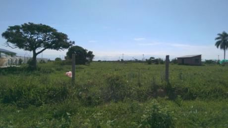 Terreno En Parque Industrial Latinoamericano