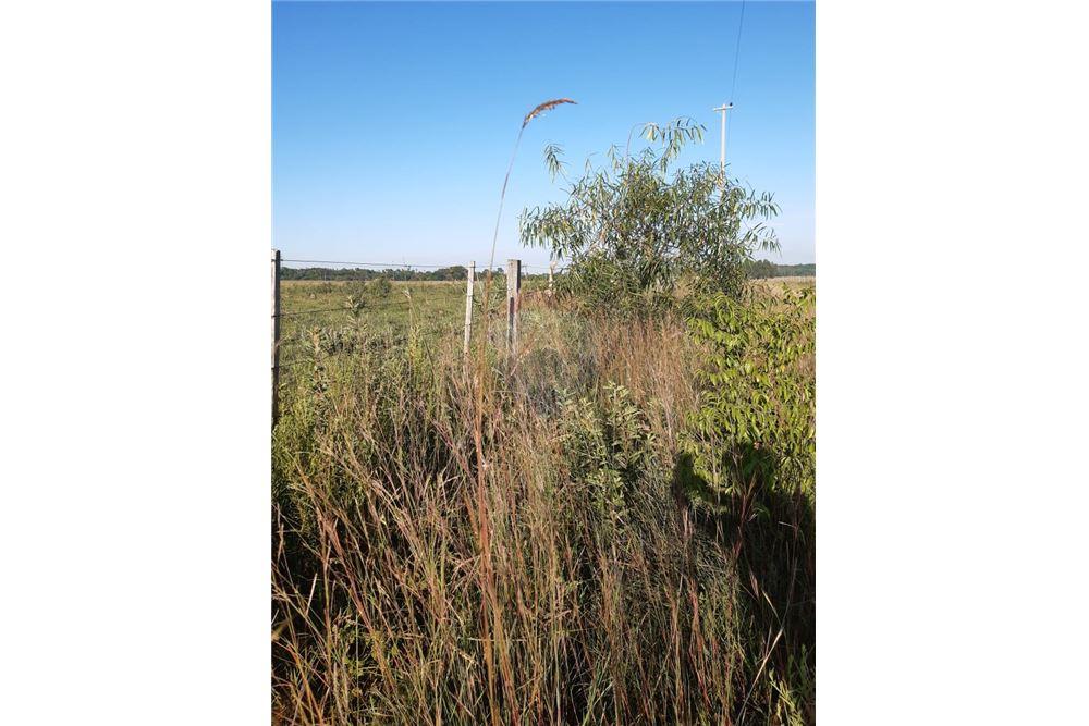 VENDO IMPORTANTE PROPIEDAD EN LA CIUDAD DE ATYRA — foto 3