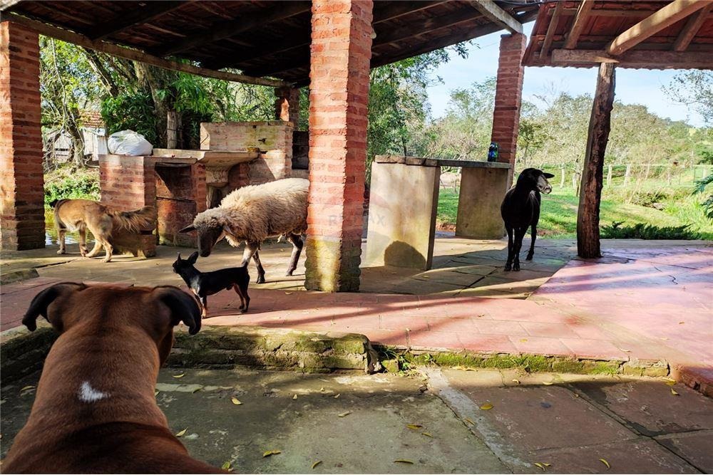 VENDO ESTANCIA GANADERA EN TRINIDAD ITAPUA — foto 3