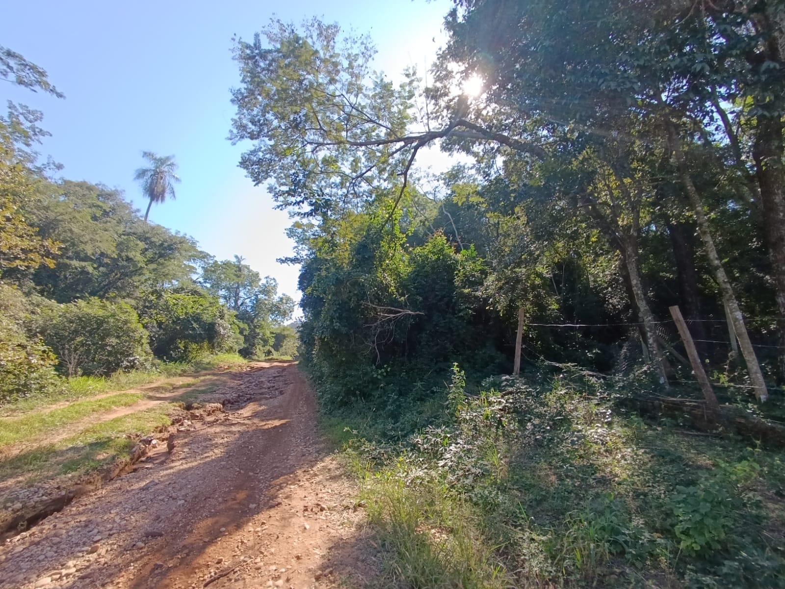 TERRENO EN VENTA, SAN BERNARDINO — foto 3