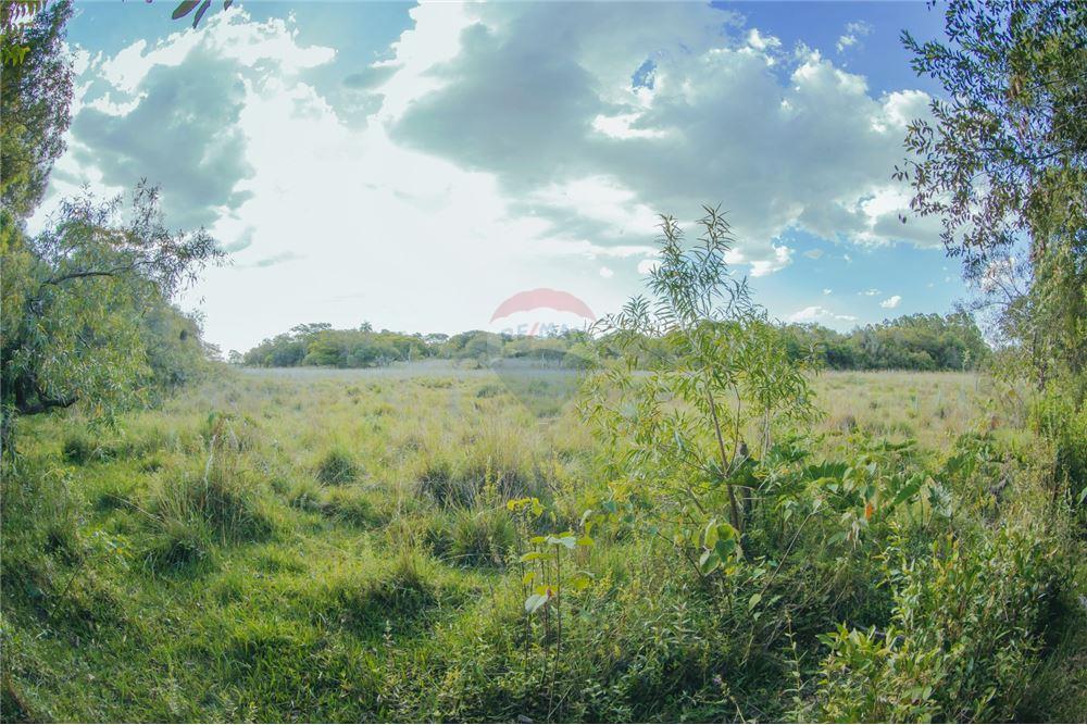 VENDO CAMPO HERMOSO DE 18 HECTAREAS EN VILLARRICA — foto 3
