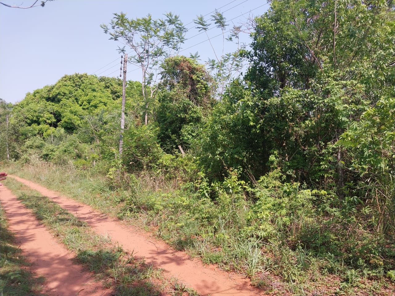 VENDO 2 TERRENOS JUNTOS EN AREGUA PINDOLO — foto 3
