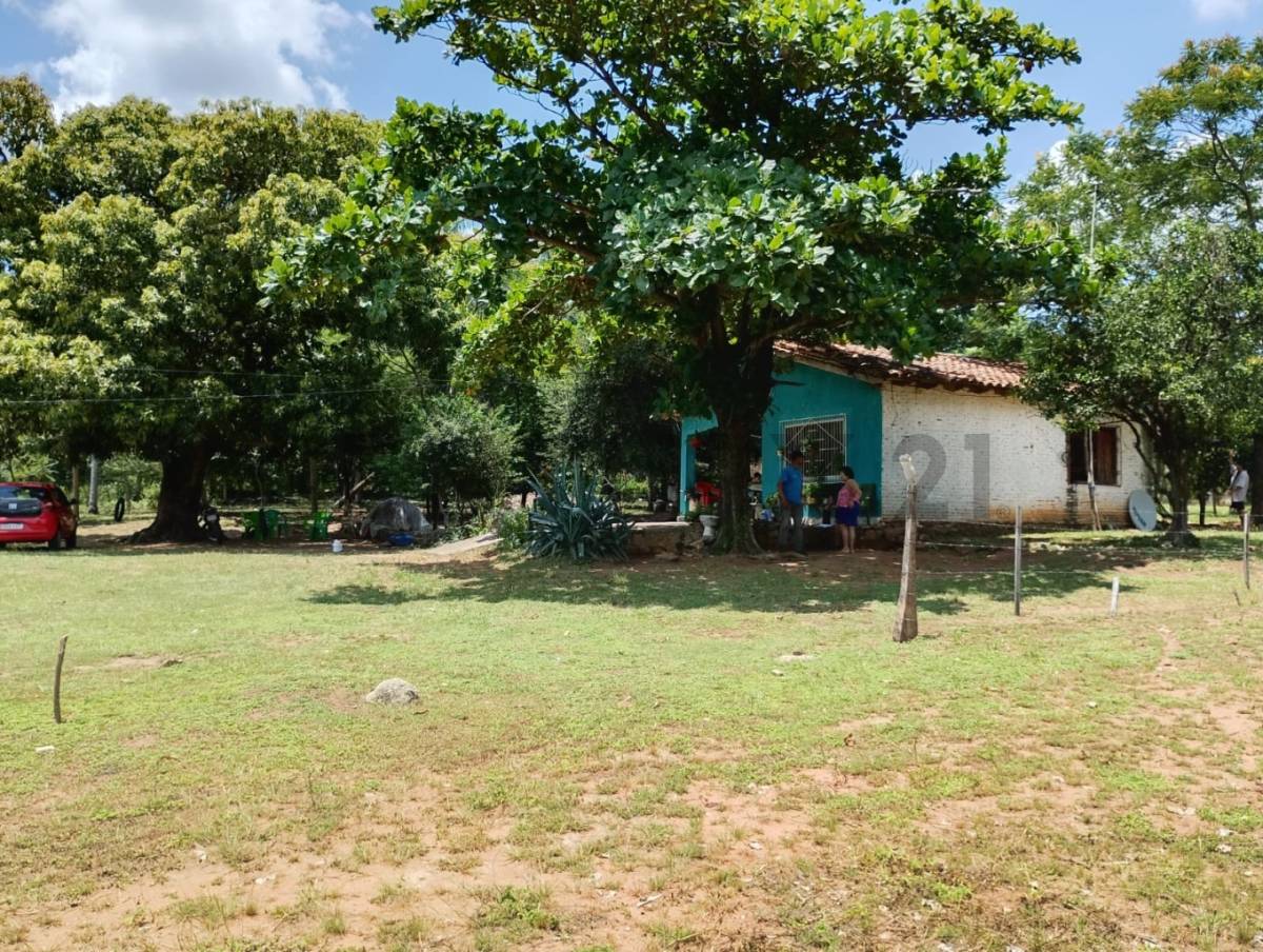 VENDO TERRENO ideal para QUINTA — foto 2