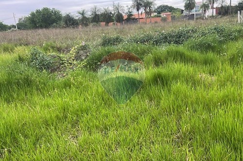 Terreno - Venta - San Bernardino, Cordillera, Paraguay — foto 2