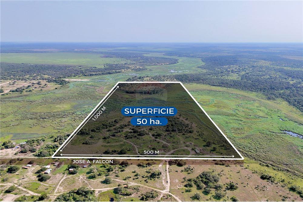 EN VENTA 50 HECTAREAS EN JOSE FALCON — foto 2