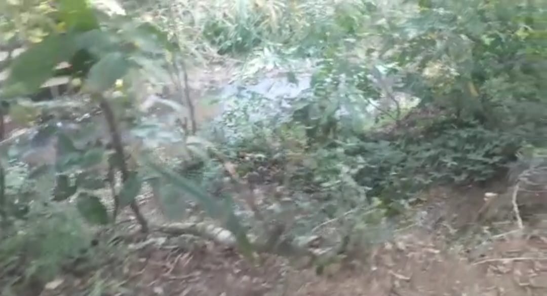 TERRENO EN VENTA EN NUEVA COLOMBIA!! — foto 2