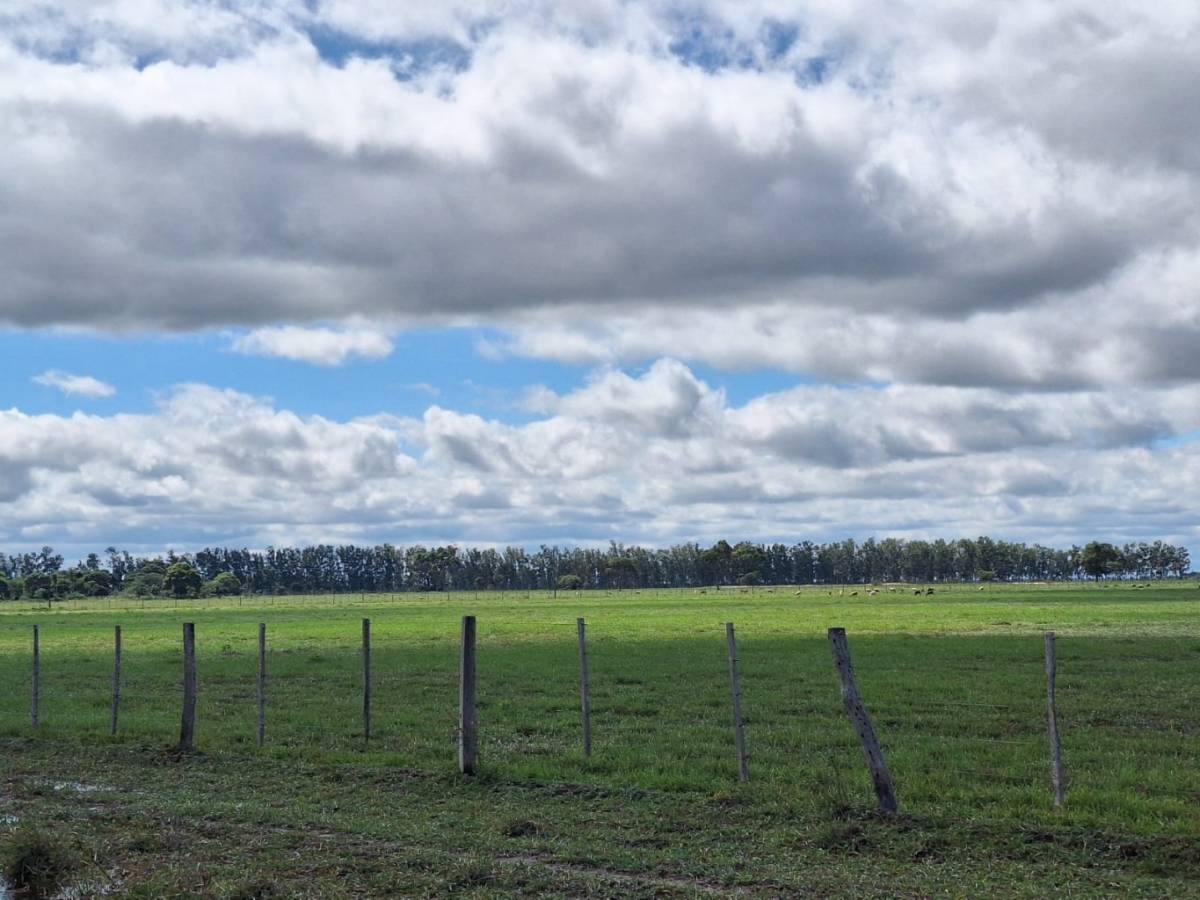 Vendo Hermosa Estancia en Horqueta -Concepción 900 hectareas! — foto 2