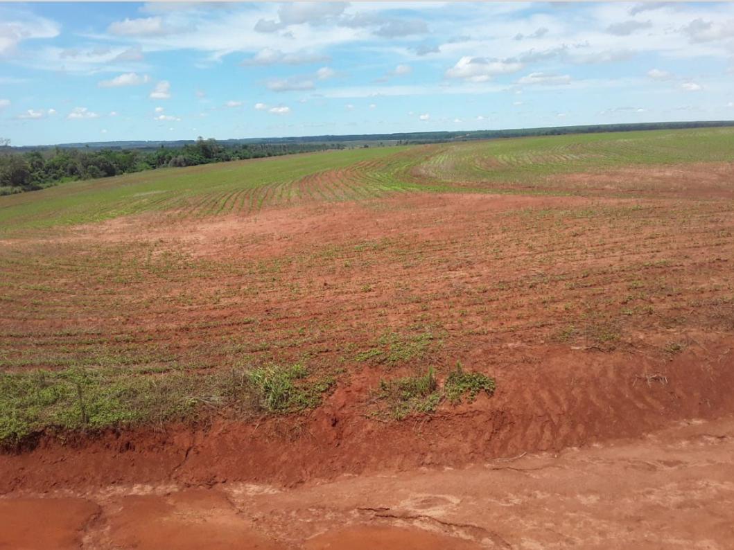 Vendo Campo de 205 Hectáreas en Zona Ytakyry, Alto Paraná - CLCS8064276 — foto 2