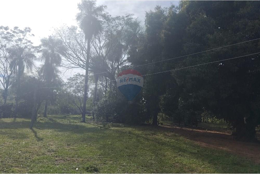 VENDO 10 HAS EN NUEVA COLOMBIA — foto 2