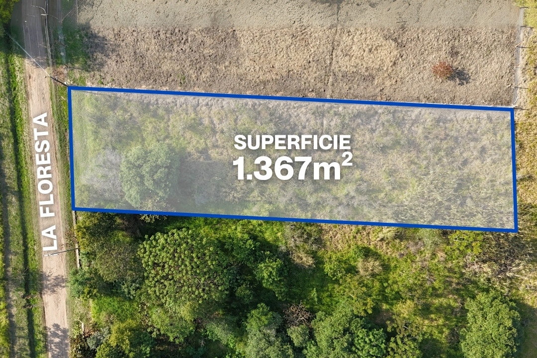 Terreno en venta en Mariano Roque Alonso — foto 2