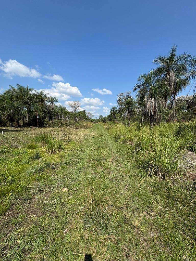 Terreno En Venta En San Bernardino Zona Ciervo Cua — foto 2