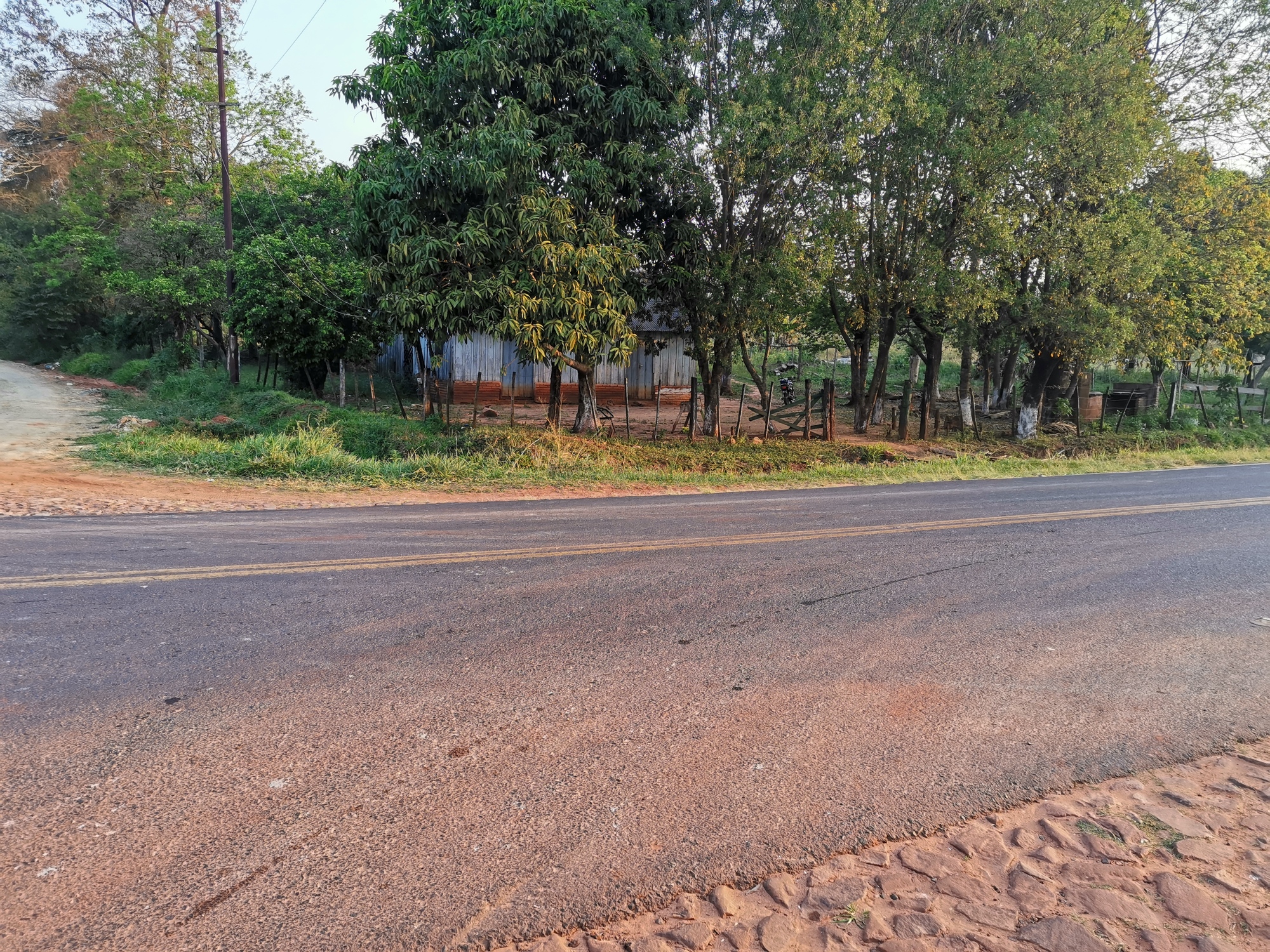 Vendo 10 Hectáreas Dr Cecilio Báez-Caaguazú Sobre Asfalto Por: 700 Millones — foto 2