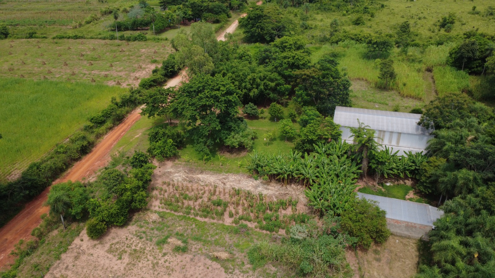 EN VENTA CAMPO GRANJA EN CAAGUAZU 20 HAS CON INFRAESTRUCTURA — foto 2